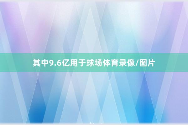 其中9.6亿用于球场体育录像/图片